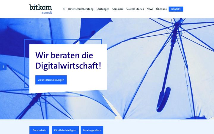 Screenshot of bitkom-consult.de