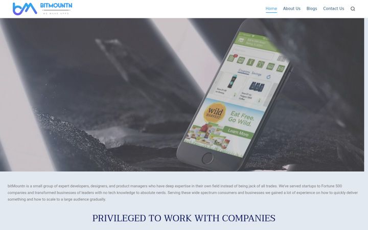 Screenshot of bitmountn.com