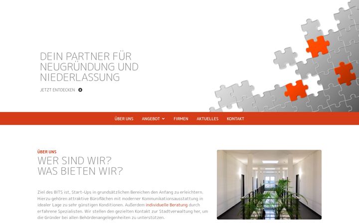 Screenshot of bits-buehl.de