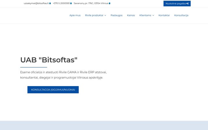 Képernyőkép: bitsoftas.lt