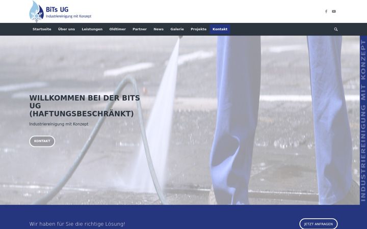 Screenshot stránky bitsug.com