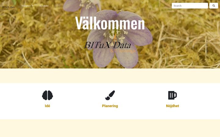 Screenshot of bitux.se