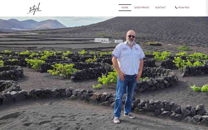 Screenshot of bitzel.com
