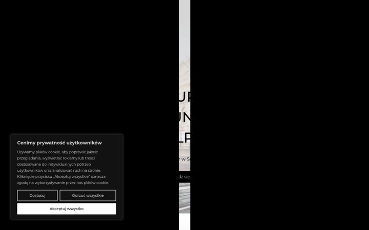 Screenshot of biuroelpa.pl
