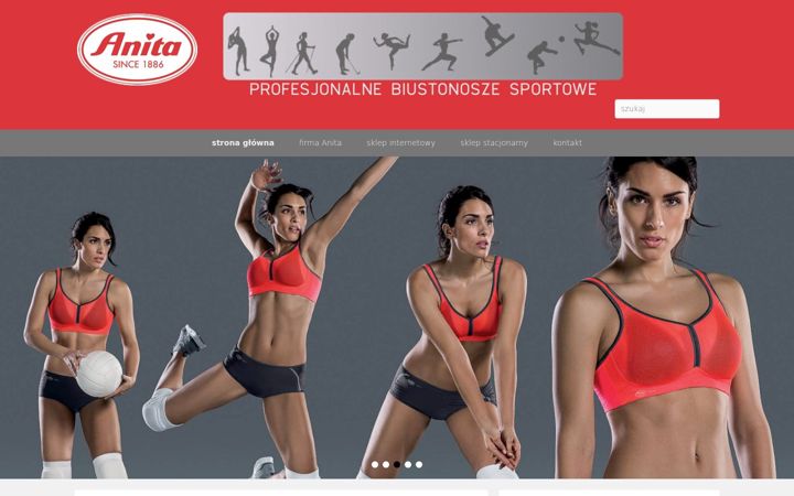 Screenshot of biustonosz-sportowy.pl
