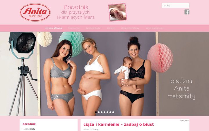 Screenshot of biustonoszdokarmienia.pl