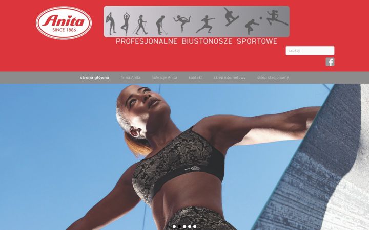Screenshot of biustonosze-sportowe.pl