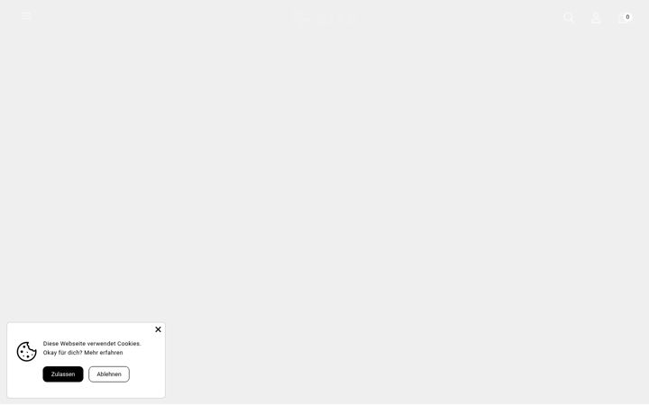 Screenshot of bixs.com