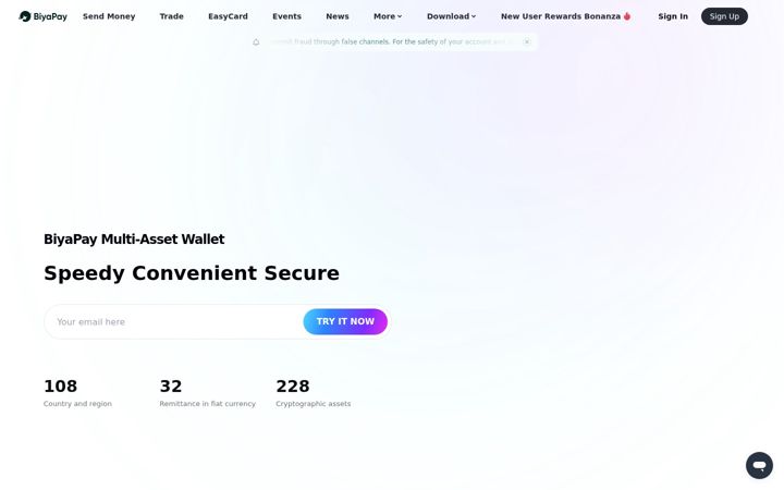 Screenshot of biyapay.com