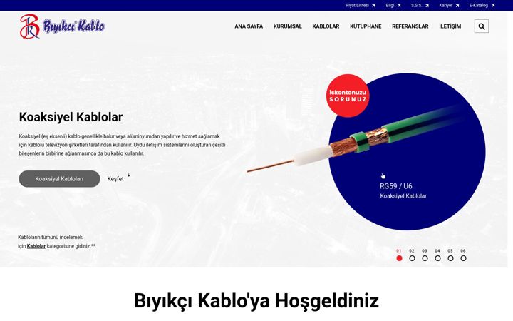 Screenshot of biyikci.com