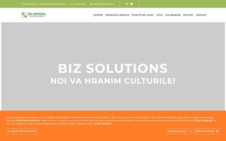 Screenshot of biz-solutions.ro
