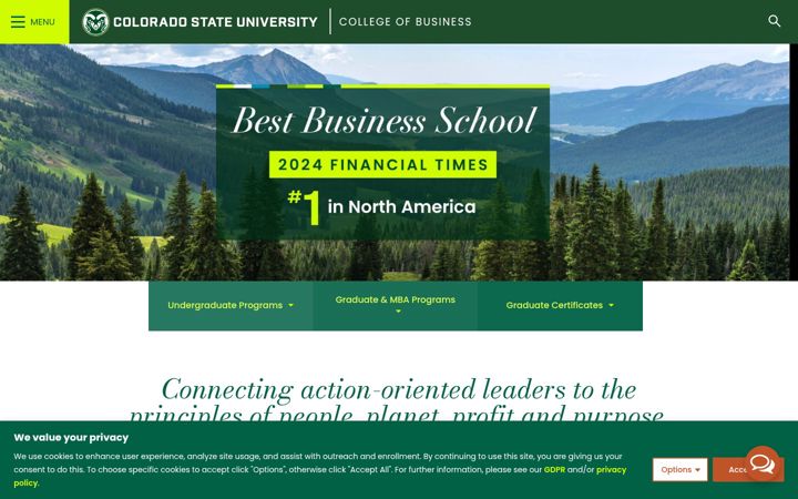 Skærmbillede af biz.colostate.edu