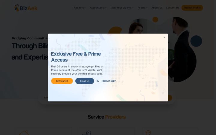 Screenshot of bizaek.com
