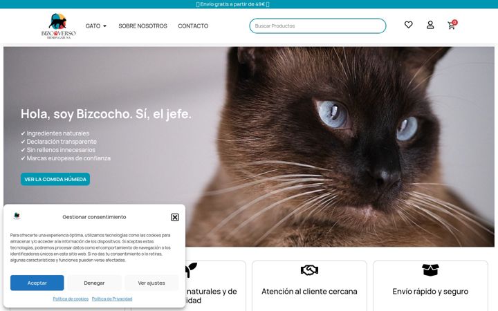 Screenshot of bizcoverso.com