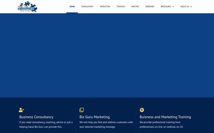 Snímek obrazovky bizguruservices.com