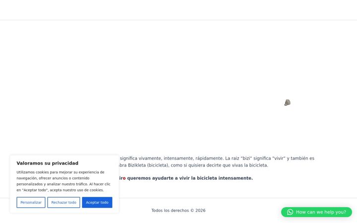Screenshot of biziro.com