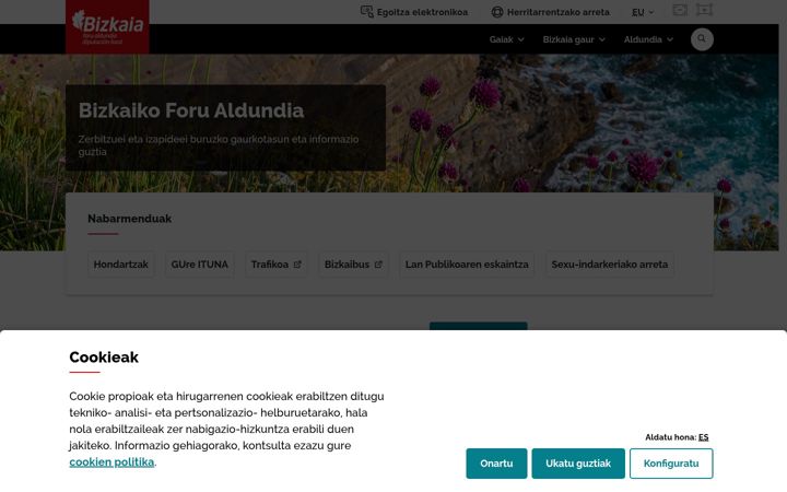 Screenshot di bizkaia.eus
