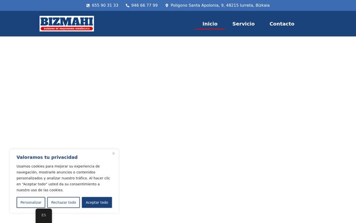 Captură de ecran a bizmahi.com
