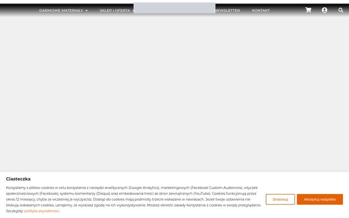 Screenshot von biznesmasazysty.pl