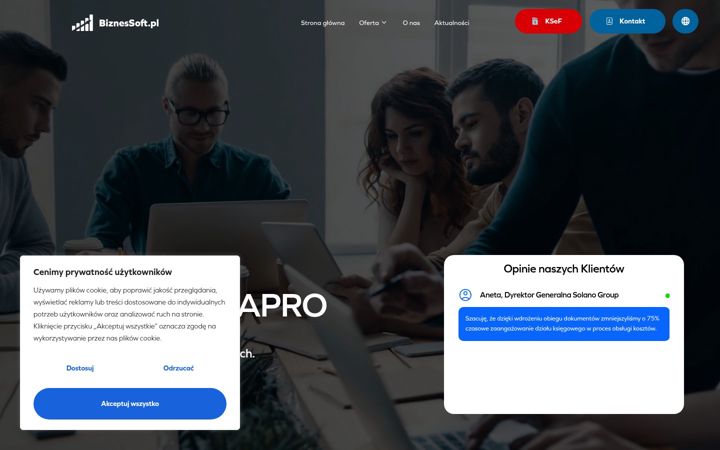 Screenshot van biznessoft.pl