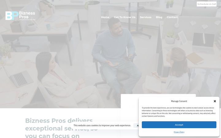 Screenshot von biznessprosllc.com