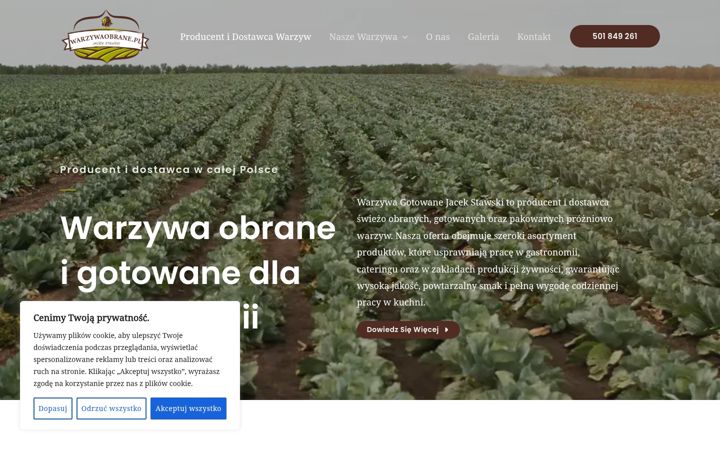Screenshot van biznesweb.dkonto.pl