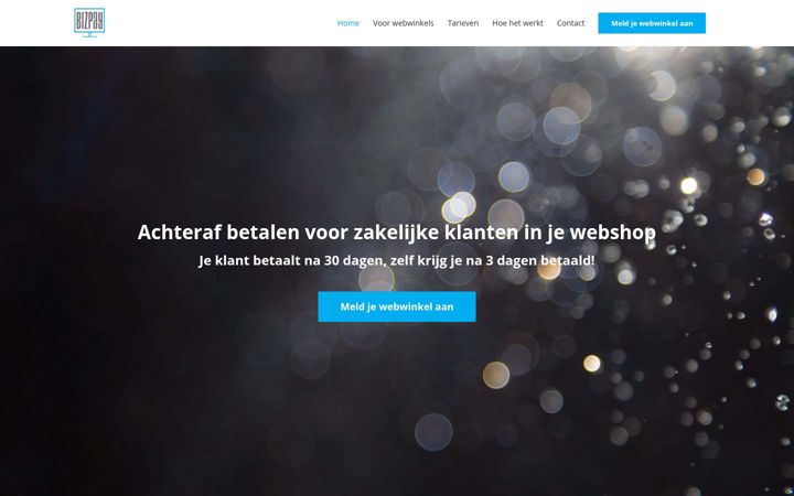 Capture d'écran de bizpay.nl