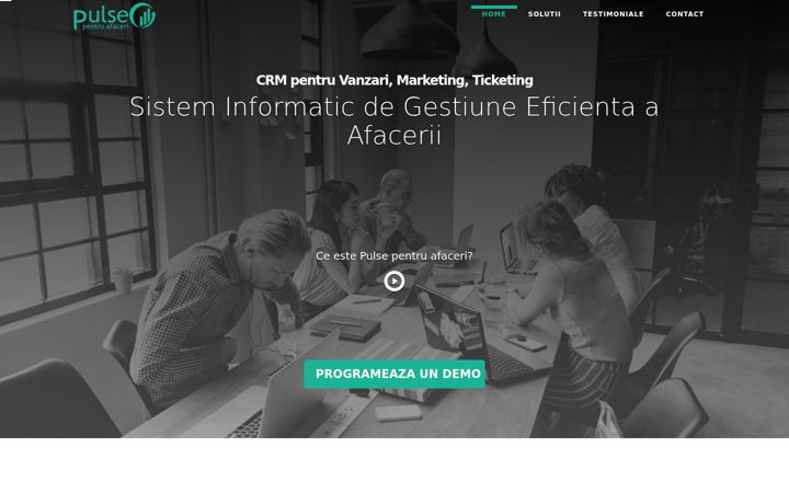 Screenshot of bizpulse.ro