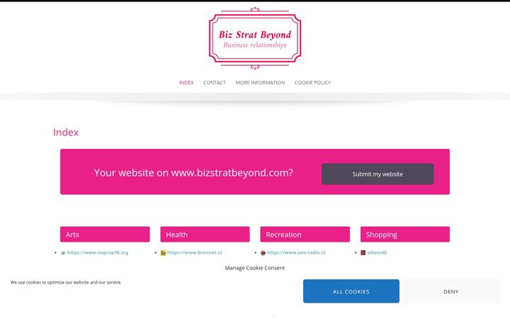 Screenshot of bizstratbeyond.com