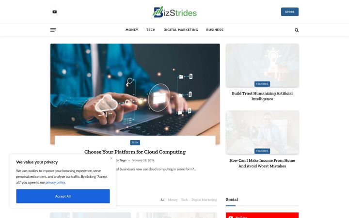 Screenshot of bizstrides.com