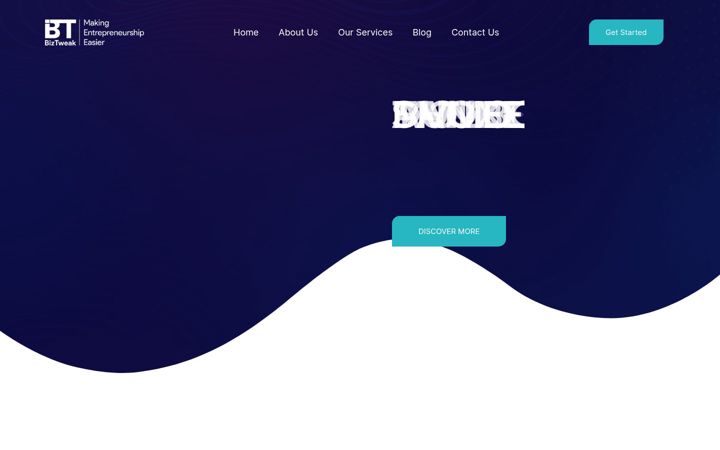 Screenshot of biztweak.org.za