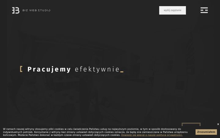 Screenshot of bizwebstudio.pl