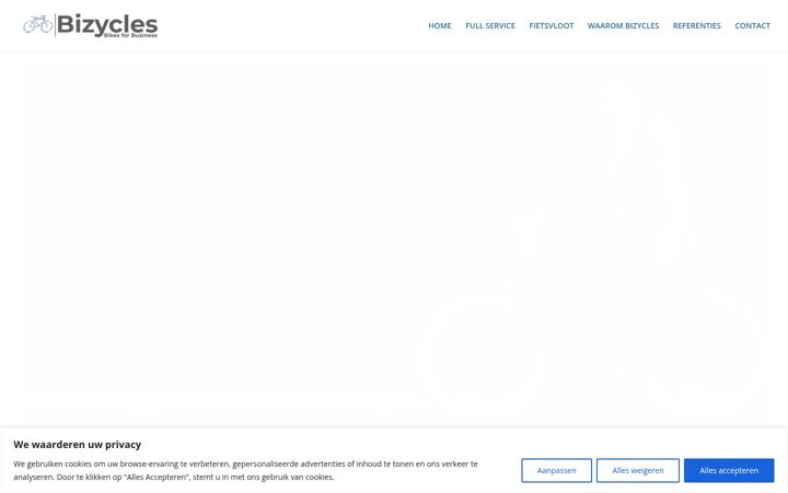 Screenshot of bizycles.com
