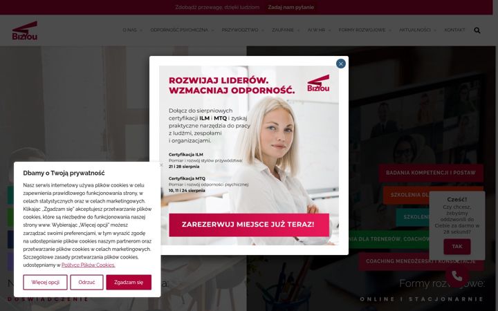 Zrzut ekranu bizyou.pl