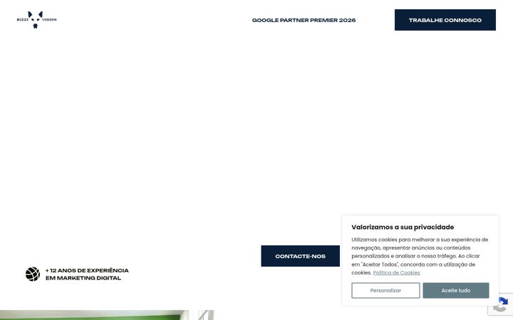 Screenshot of bizzi.vision