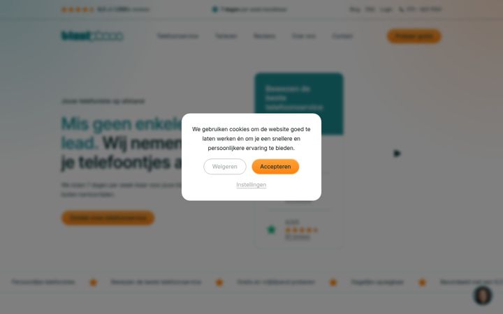 Screenshot of bizziphone.com