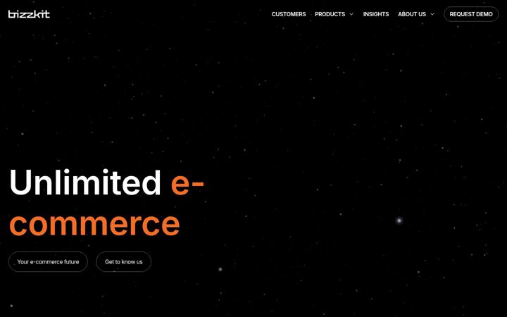 Screenshot von bizzkit.com
