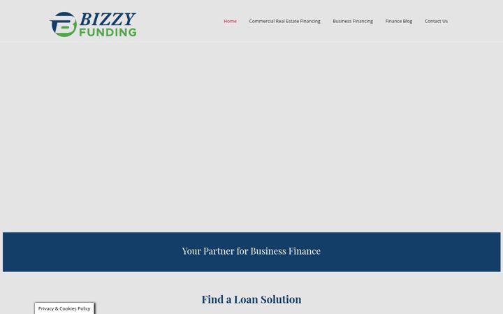 Skærmbillede af bizzyfunding.com