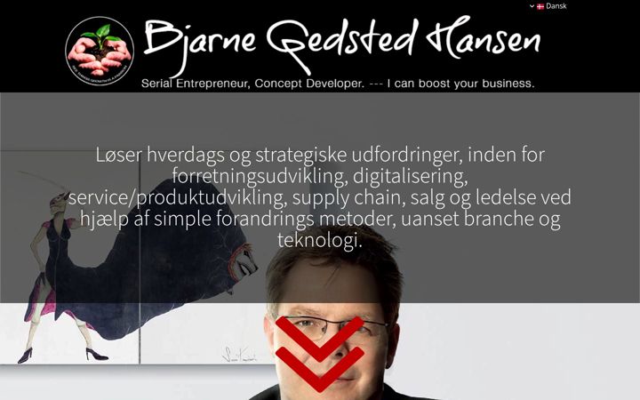 Екранна снимка на bjarnegedstedhansen.com