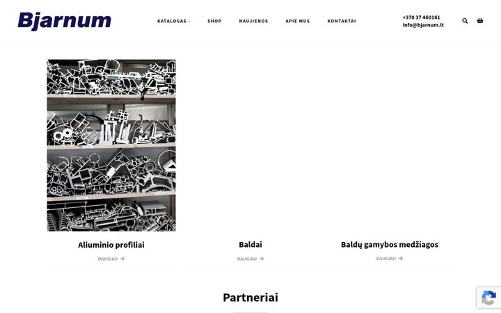 Screenshot stránky bjarnum.lt