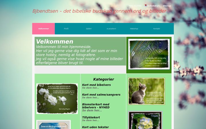 Screenshot of bjbendtsen.dk