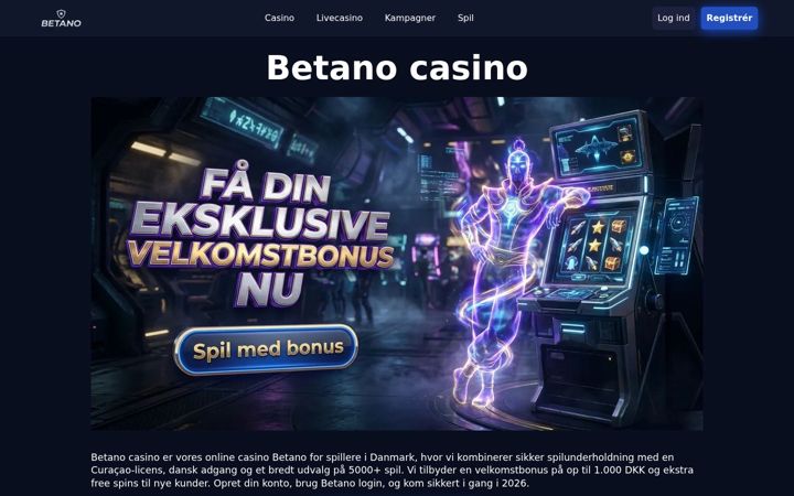 Screenshot of bjerg-design.dk