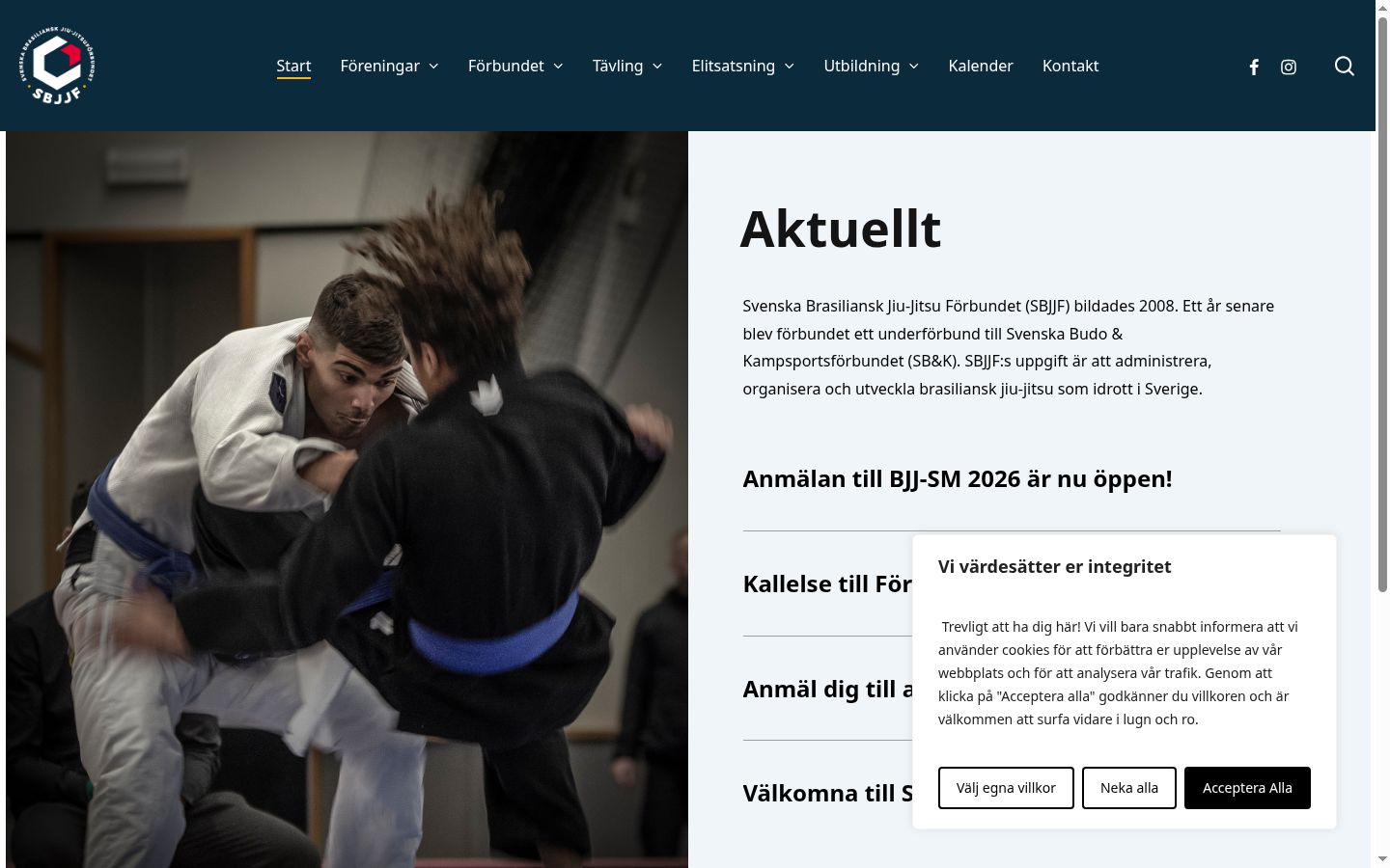 Skærmbillede af samtykkebanneret, som det blev vist før nogen interaktion