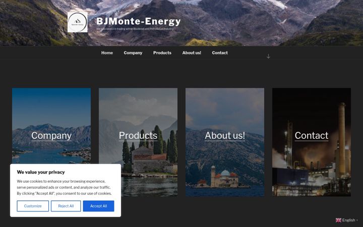Screenshot of bjmonte-energy.com