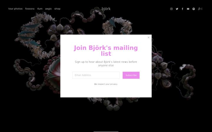 Screenshot of bjork.com