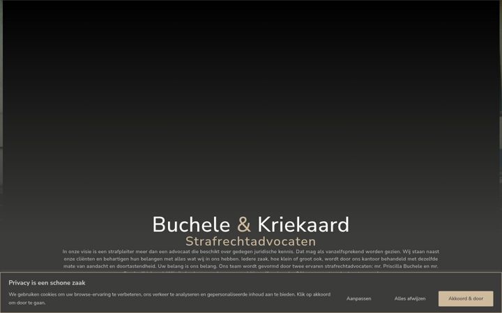 Screenshot of bk-strafrechtadvocaten.nl