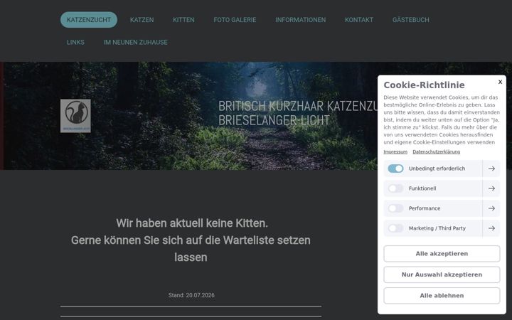Screenshot of bkh-brieselanger-licht.de