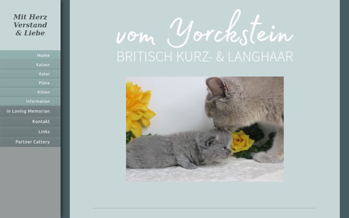 Screenshot of bkh-vom-yorckstein.de