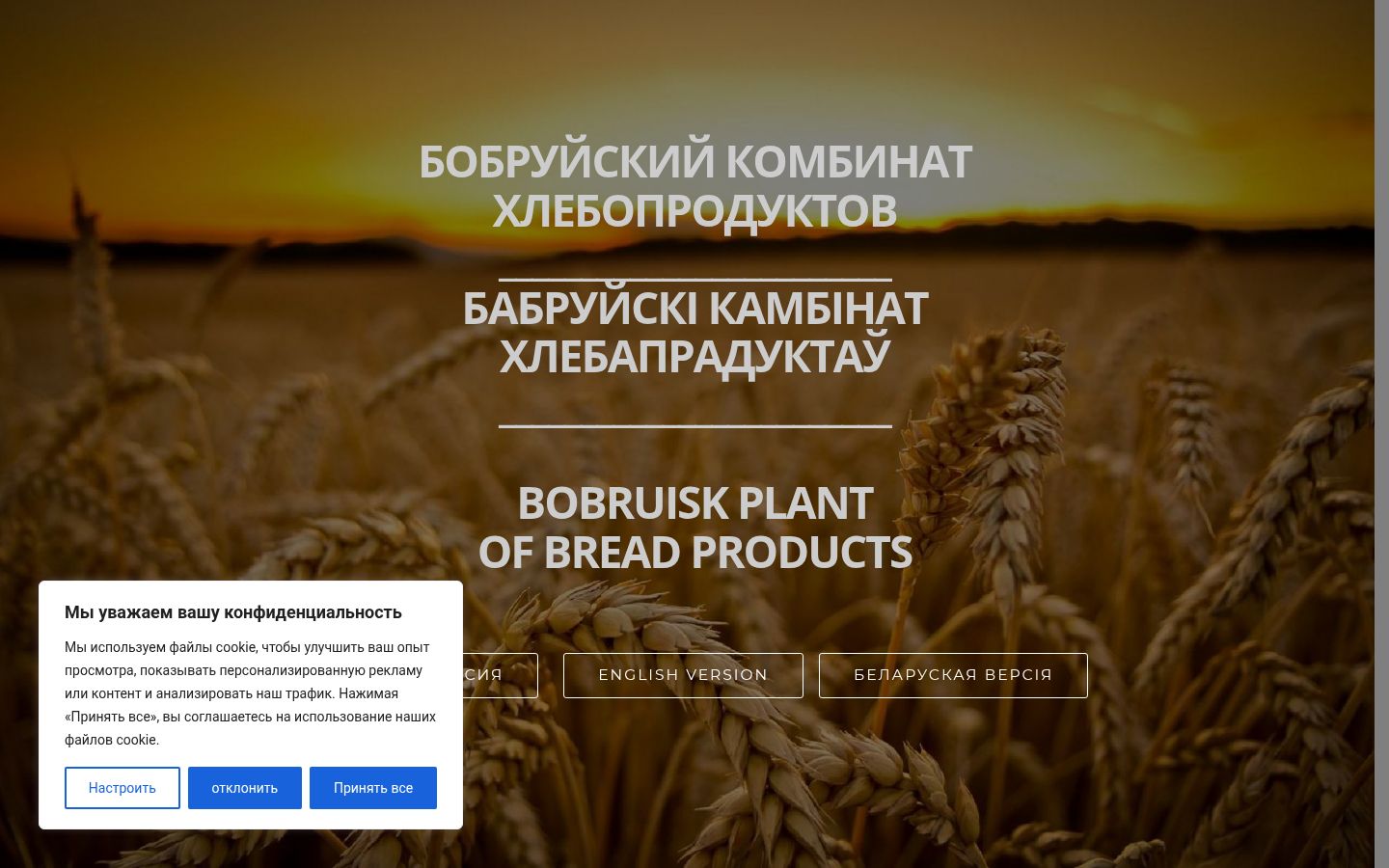 Screenshot of the consent banner shown before any interaction