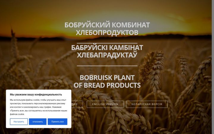 Screenshot of bkh.by